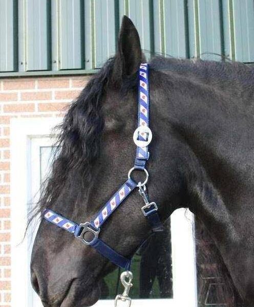 FKP Halster Fries ongevoerd