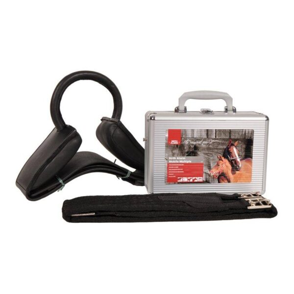 Birth Alarm Mobile 2 0 (GSM)
