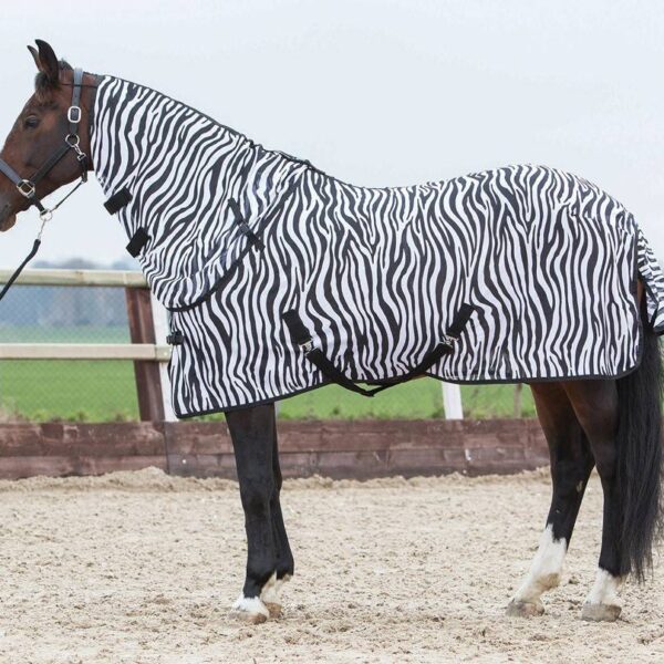 QHP Eczeemdekens Zebra | De Kroo Ruitersport