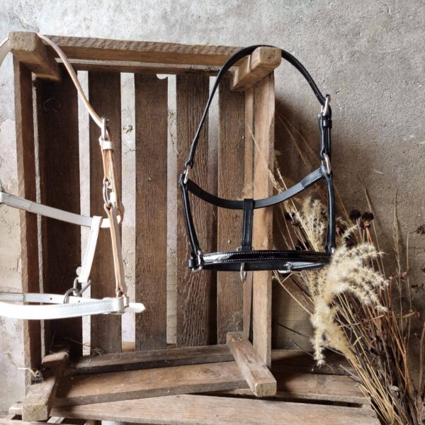 Halsters en touwen